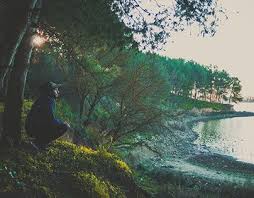 Check Out New Work On My Behance Portfolio Nature Http Be Net Gallery 62412725 Nature Nature Photoshop Lightroom Adobe Photoshop Lightroom