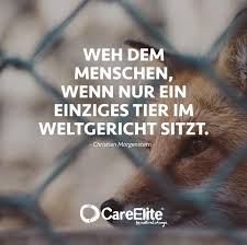 46 Inspirierende Zitate Fur Veganer Und Vegetarier Careelite