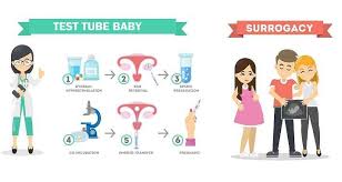 Difference Between Surrogacy And Test Tube Baby