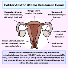 Jangan 'stress' jika masih lagi belum mengandung. Semua Soalan Anda Mengenai Ivf Dijawab Oleh Doktor Erufu Care