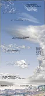 Cumulus clouds that do not get very tall are indicators of fair weather. What Do Different Clouds Mean For The Weather Kinds Of Clouds Clouds Clouds Types