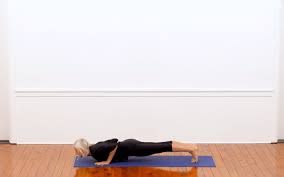Check spelling or type a new query. Four Limbed Staff Pose Chaturanga Dandasana Iyengar Yoga