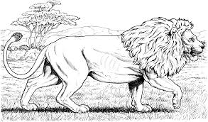 Lion Coloring Pages For Adults Free Lion Coloring Pages Lion Coloring Pages Animal Coloring Pages Cat Coloring Page