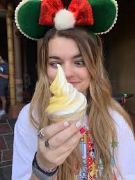 Disney College Program Introduction and Survey