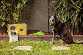 Best used in the biobin. How To Compost Pet Waste With Ensopet A Pet Waste Bokashi System