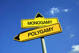 Definition of polyamory in the definitions.net dictionary. A Philosopher Makes The Case For Polyamory Vox