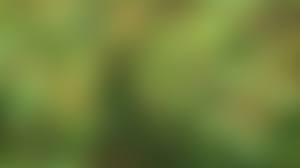 4k Green Blurred Background Hd Desktop Wallpaper Blur Background Hd 3840x2160 Wallpaper Teahub Io Free blurry background stock video footage licensed under creative commons, open source, and more! 4k green blurred background hd desktop