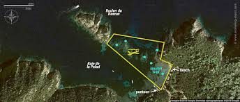 Snorkeling At Plage De La Palud Port Cros National Park France