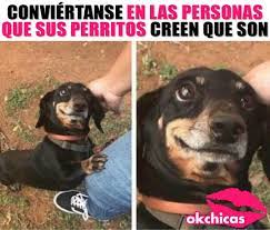 Seamos Esas Personas Memes Divertidos Memes Graciosos Meme Gracioso