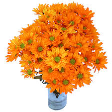 My niece lives in vero beach florida and i keep sending her mail and it keeps getting returned, this is the second time i have sent her son a birthday card and it has. Orange Bulk Daisy Enhanced Flower Diy Wedding Flowers Fiftyflowers