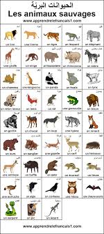 صور الحيوانات البرية بالفرنسية Learn English Free Books Download Free Books