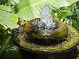All living things including animals and plants need water to survive. Attract Money Into Your Home 5 Simple Feng Shui Tips To Attract Wealth Into Your Home India Com