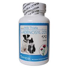 Cats · 1 decade ago. Sogeval 30 Count Samelq 225 Snap Tablets For Dogs And Want Additional Info Click On The Image It Is Amazon Aff Pet Supplements Dog Health Dog Supplements