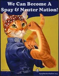But there are many other incentives as well, including your pet's health and happiness. Low Cost Spay Neuter Options Humane Society Of Statesboro Bulloch County