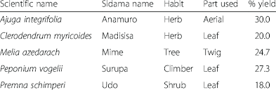 Image result for Peponium vogelii