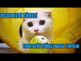 Evde Kedi Tuneli Nasil Yapilir Ucuz Kedi Tuneli Youtube