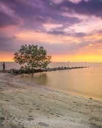 #60 taman alam kuala selangor. Jeram Kuala Selangor Guide Sky Mirror Jetty The Kabin Hotel