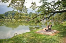 Malaysia, taiping, no 1 jalan tupai, perak darul ridzuan. Bench And Water Reflections In Taman Tasik Aka Lake Gardens Stock Photo Picture And Royalty Free Image Image 83804348