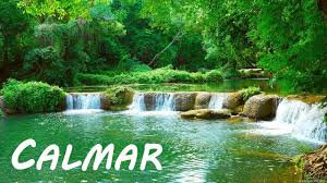 Vídeo hd com cachoeira em câmera lenta, floresta e lago, com sons da natureza e música relaxante para dormir. Musica Relajante Zen Para Meditacion Calmar Y Sanar El Alma Youtube