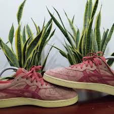 Check spelling or type a new query. Onitsuka Tiger Bundle Online Shopping Mall Find The Best Prices And Places To Buy