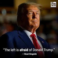 SO ANGRY': Newt Gingrich roasts liberals for being willing to destroy the  law in order to bring down Trump. https://trib.al/dJPJDCl