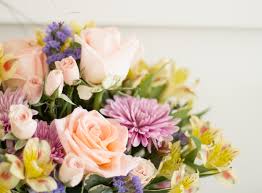 The flowers are sensitive to fluoride, so let tap water sit for a few hours before using. How To Keep Cut Flowers Fresh