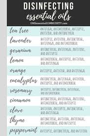 Homemade alcohol hand sanitizer spray made with 151 proof everclear contains 66% alcohol, which meets the cdc requirement for an alcohol based sanitizer. Homemade Lysol Disinfecting Cleaning Spray One Essential Community