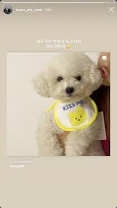 200723 Rose Update Instastory 2020