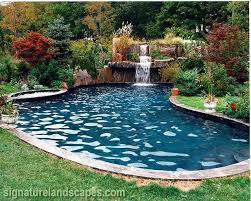 I Like Grass Right Up To The Flagstone And The Waterfall Is A Nice Touch Backyard Pool Pool Landscaping Small Inground Pool