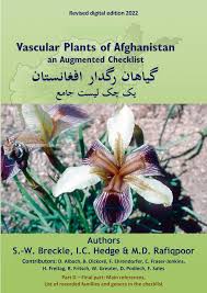 Image result for Kyllinga merxmuelleri