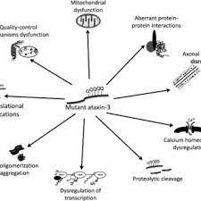 Pdf Machado Joseph Disease Spinocerebellar Ataxia Type 3