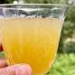 Farmers' Gatorade: Fresh & Fermented Hydration Workshop