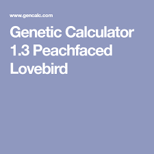 Genetic Calculator 13 Peachfaced Lovebird Genetics African Love African Lovebirds