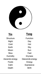 Meaning Of Yin Yang Pinterest