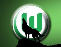 1974 spielte der verein aus niedersachsen eine saison lang in der neu gegründeten 2. Vfl Wolfsburg En Us On Twitter Today Is Worldanimalday Our Favourite Animal Naturally The Wolf Wolves
