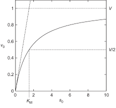 We know the initial concentrations (denoted by subscript 0) because of the ph value at the beginning: Initial Velocity V 0 Plotted Against The Initial Substrate Download Scientific Diagram
