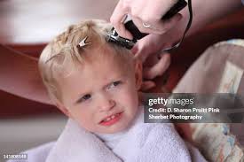 1,919 D Sharon Pruitt Pink Sherbet Photography Stock Photos, High-Res  Pictures, and Images