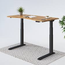 Electric Standing Desk