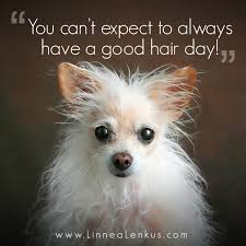 Inspirational quotes  Inspiring Quotes with Pictures  Memes