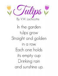 Tulips Poem Tulips Quotes Summertime Quotes Hello February Quotes