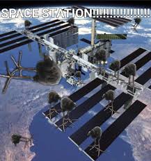 Image result for tbn:ANd9GcSKQ6WZNNgGQRYszRgFbxpr9QGU37z-EFx8LzTd2pp2XVncdrMO4AeJuA