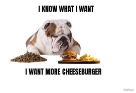 Follow @9gag for more relatable memes. Fat Dog Cheeseburger Meme Petpress