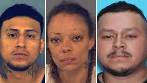 Wildlife expert explains bald eagle behavior after cat dropped through  windshield in NC