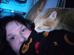 Sunflower cat..Catskill village,NY.