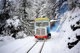 Image result for shimla images