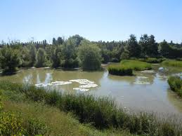 Hotel Le Saint Germain Aulnay Sous Bois Tarifs 2021 Mis A Jour Et 166 Avis Tripadvisor