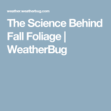 The Science Behind Fall Foliage Fall Foliage Foliage Science