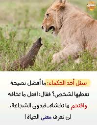 I read a news article on viktor f…more the book is a fast read, and it's hard to argue with a book that has more than 12 million copies in print worldwide. Pin By Owedu On Ù…Ø®ØªØµØ± Ø­ÙŠØ§Ø© Brown Bear Bear Animals