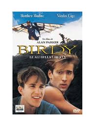 La paura ti rende prigioniero, la speranza può renderti libero. Birdy Le Ali Della Liberta Dvd It