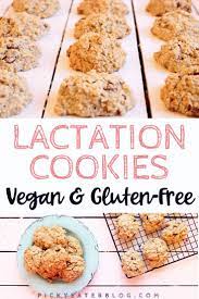 Lactation Cookie Recipe Healthy Vegan Gluten Free The Picky Eater Lactation Cookies Recipe Dairy Free Lactation Cookies Lactation Cookies